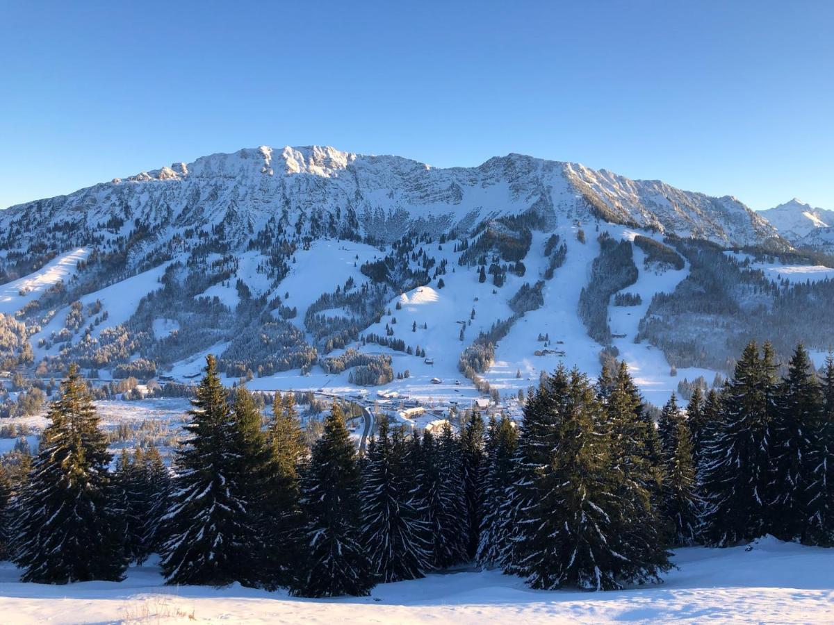 Mountain Lodge Oberjoch, Bad Hindelang - Moderne Premium Wellness Apartments Im Ski- Und Wandergebiet Allgau Auf 1200M, Family Owned, 2 Apartments Mit Privat Sauna Exterior foto